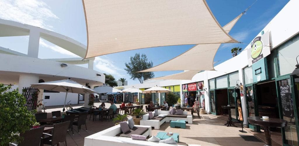 Palmeras Garden - 13