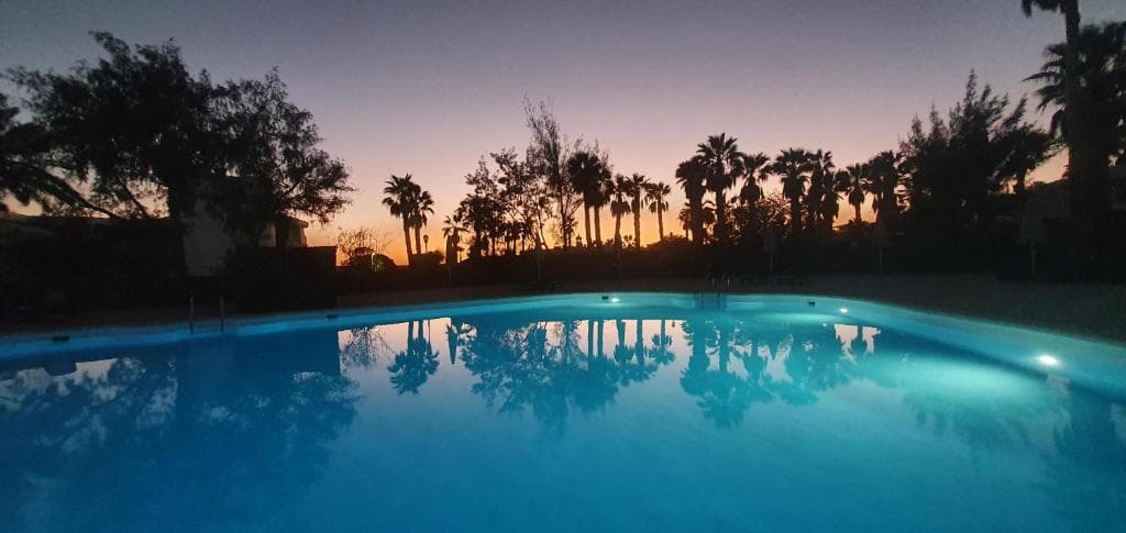 Palmeras Garden - 15