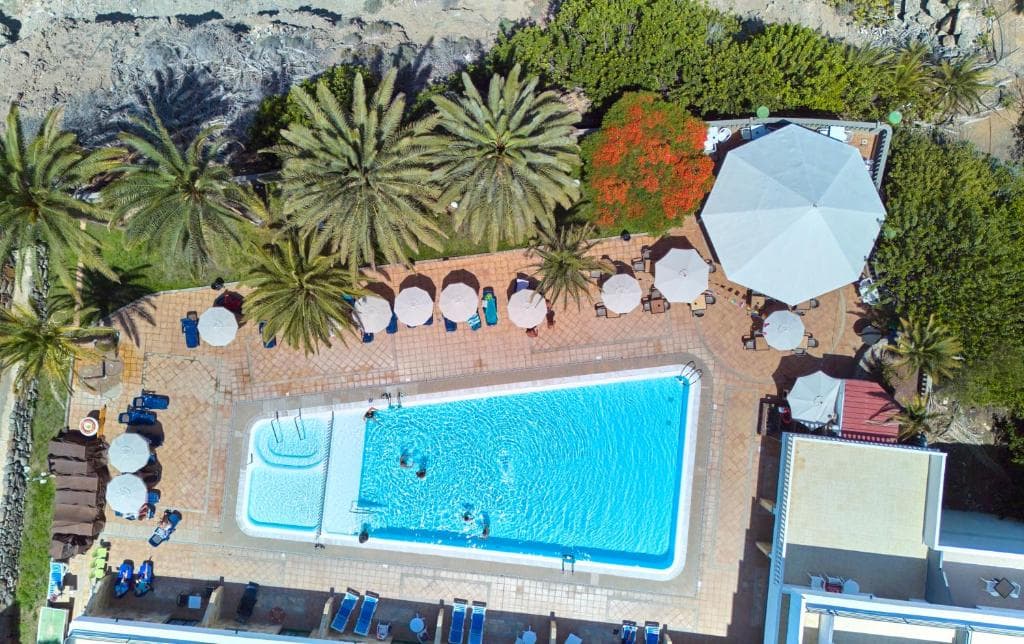 Chatur Palmera Mar - 33