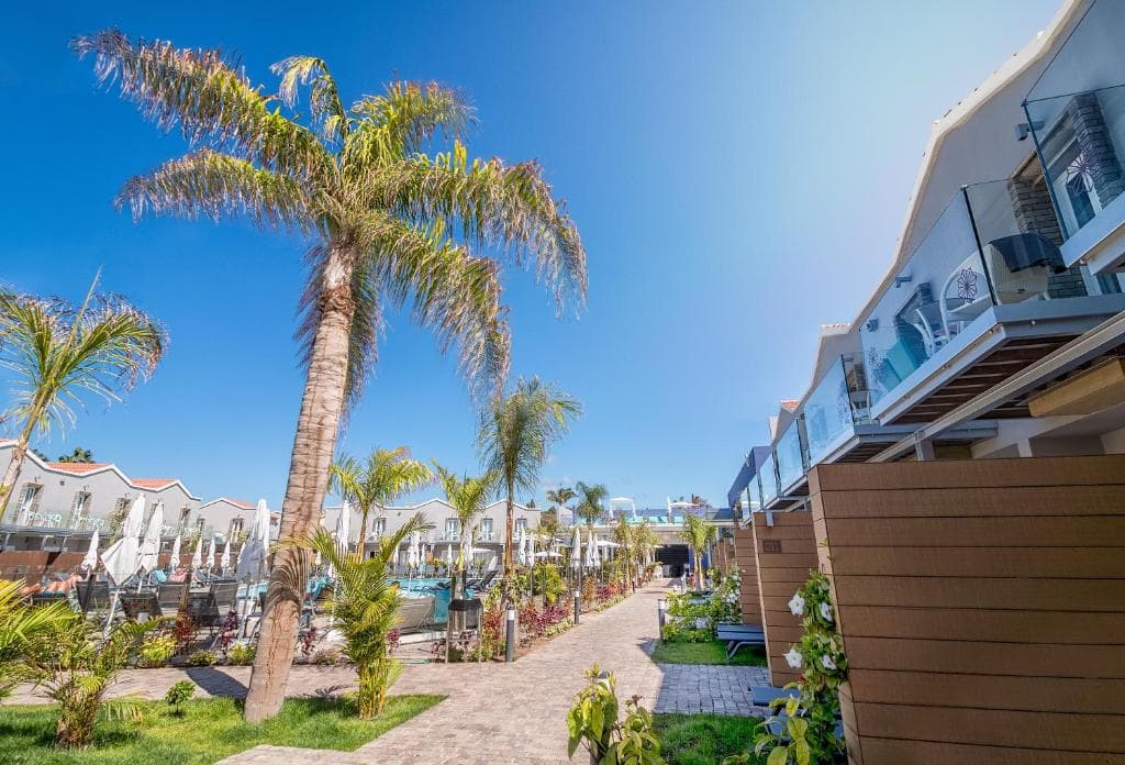 Hotel LIVVO Los Calderones - Adults recommended - 13