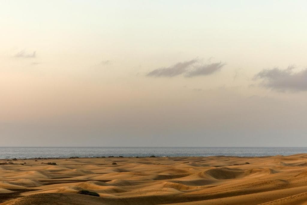 Santa Monica Suites Hotel - 17