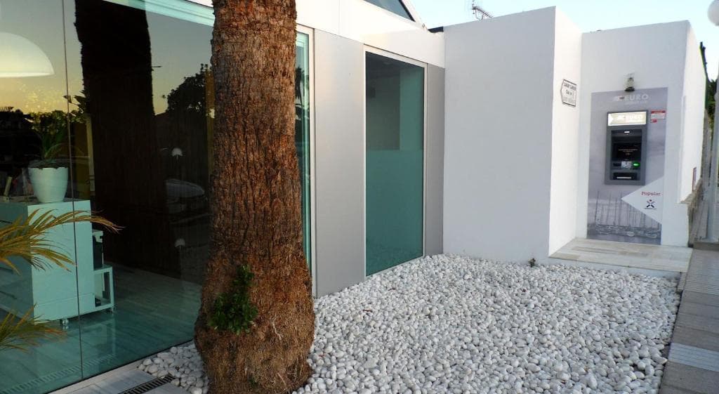 Canary Garden Club - 24