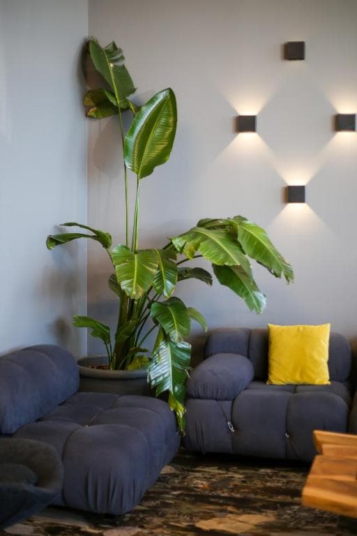 Hotel & SPA Belvedere - 27