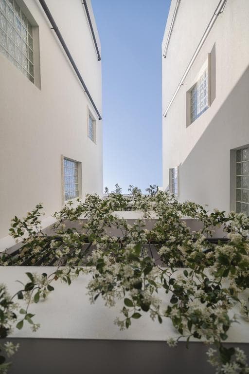 Alinea Urban Saripolou Square - 19