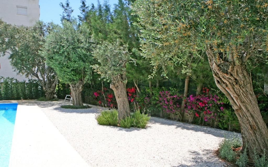 Corina Suites and Apartments - 23