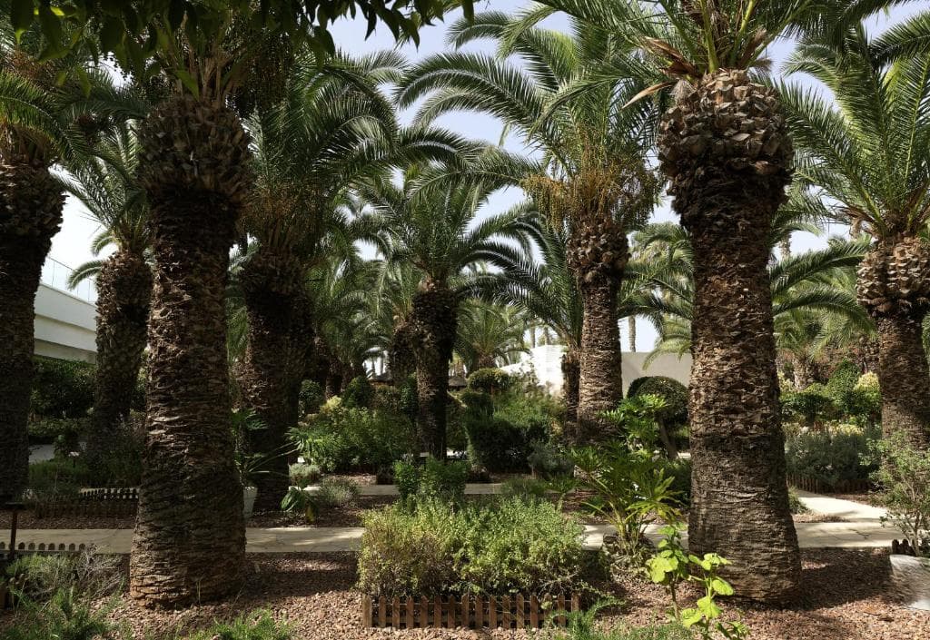 Hotel Grand Resort - 8