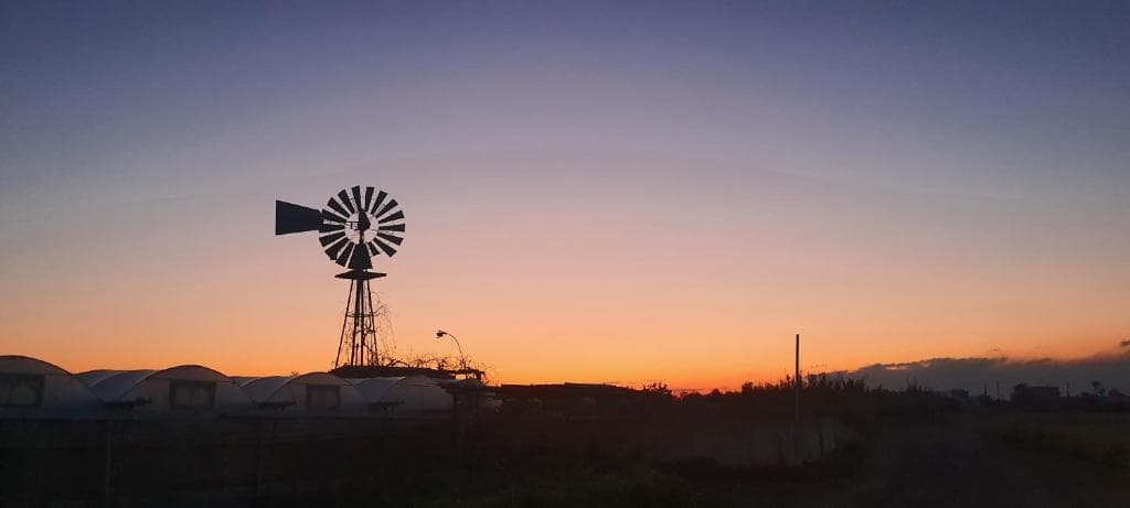 Hotel and Apartments Anastasia Beach - 28