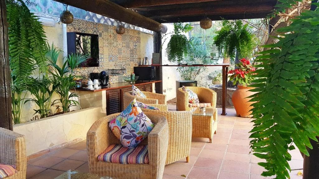 Alsol Nogal- Adults Only - 5