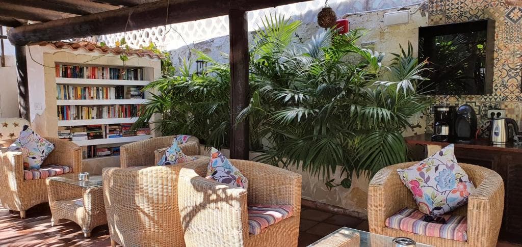 Alsol Nogal- Adults Only - 10