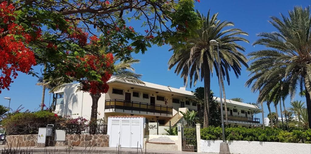 Alsol Nogal- Adults Only - 20