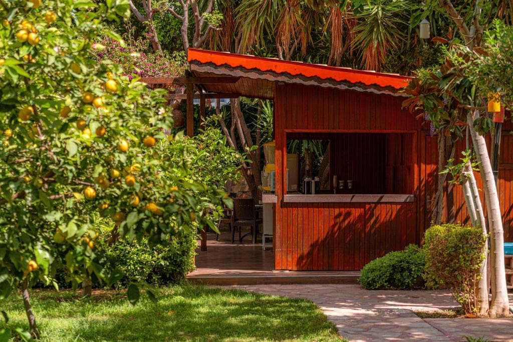 Charter Antalya - TELATIYE RESORT HOTEL - 40