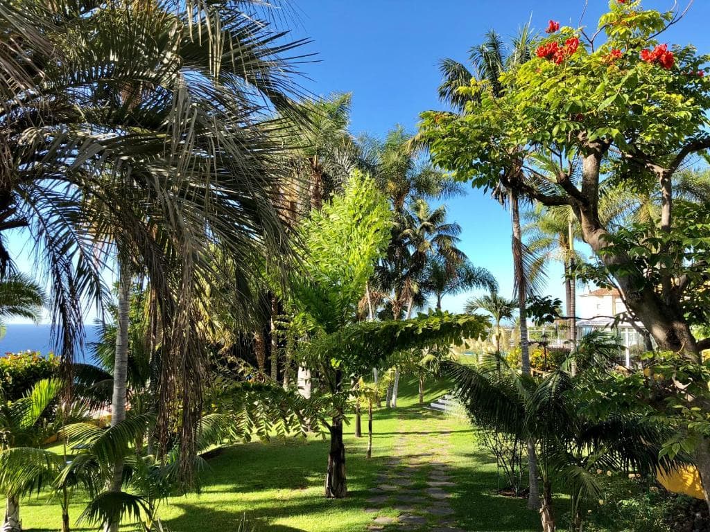 Hotel Tigaiga - 22