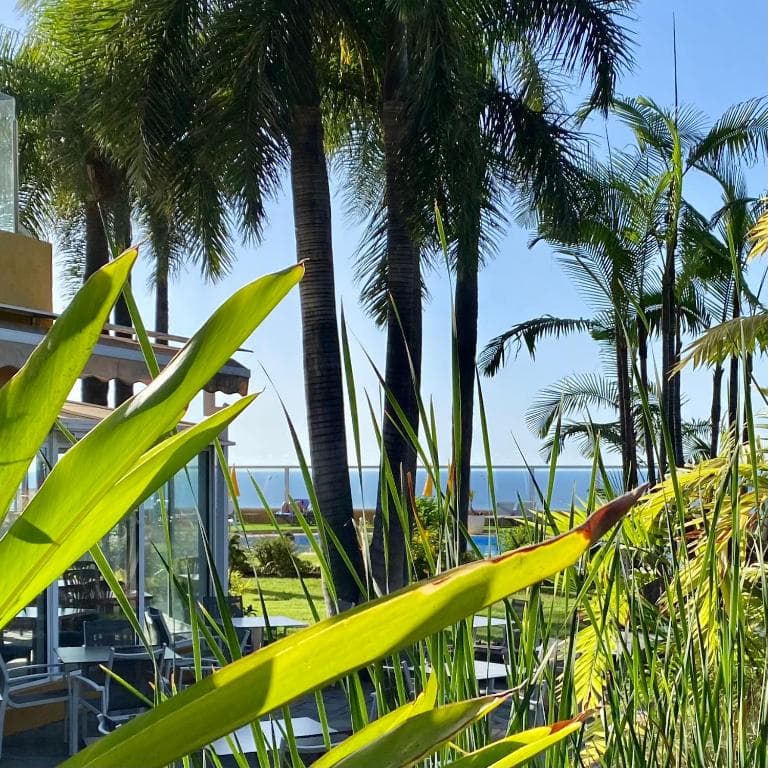 Hotel Tigaiga - 35