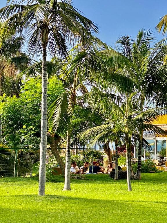 Hotel Tigaiga - 39