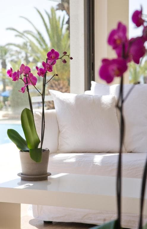 Hotel Sandy Beach & Spa - 45