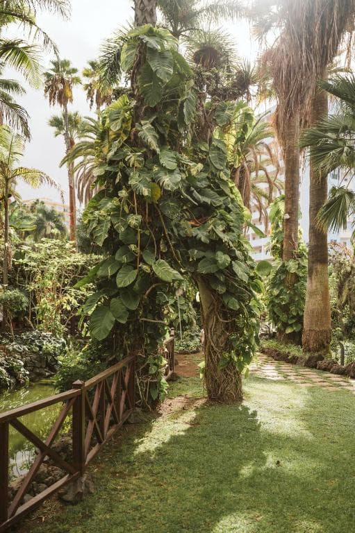 Precise Resort Tenerife - 25