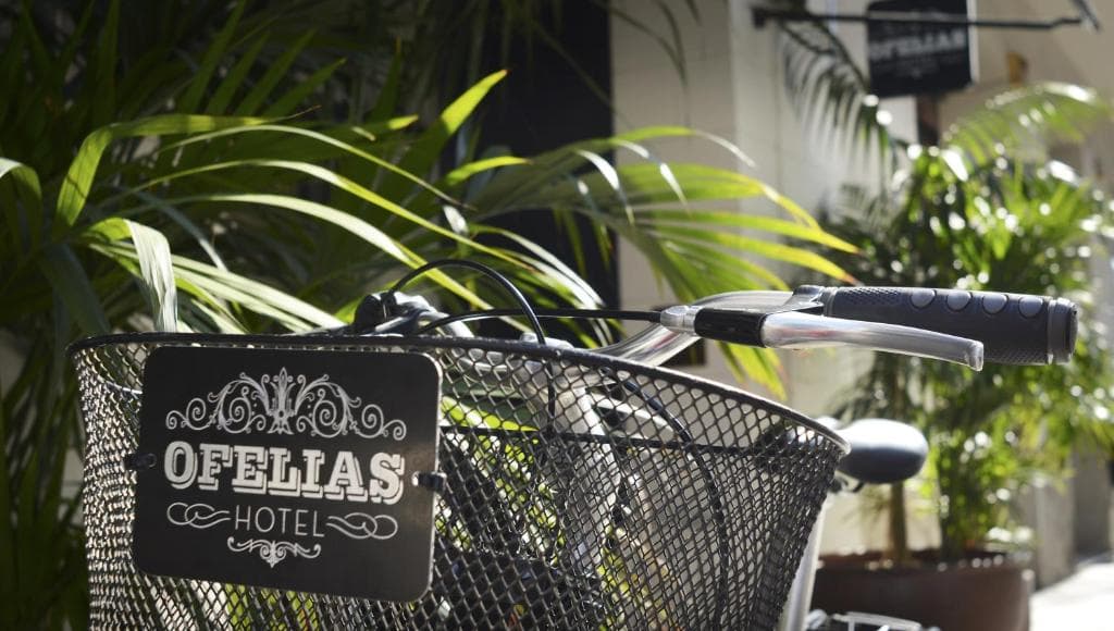 Hotel Ofelias - 31