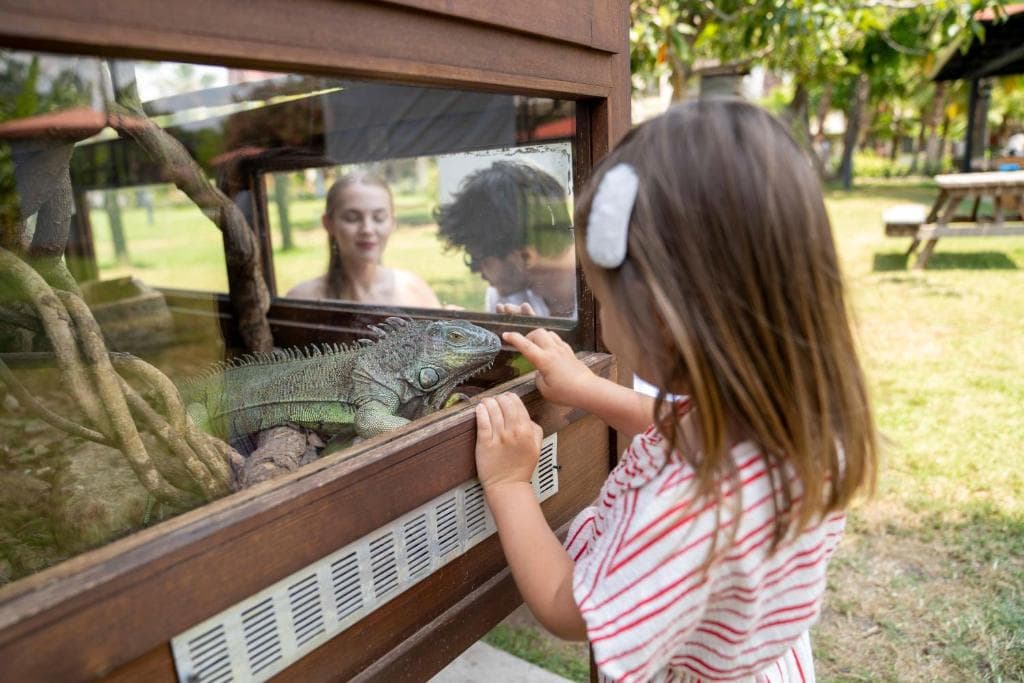 Club Tuana Fethiye - 16