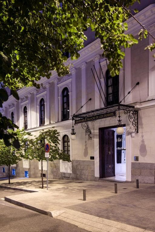 Palacio de los Duques Gran Melia - The Leading Hotels of the World - 17