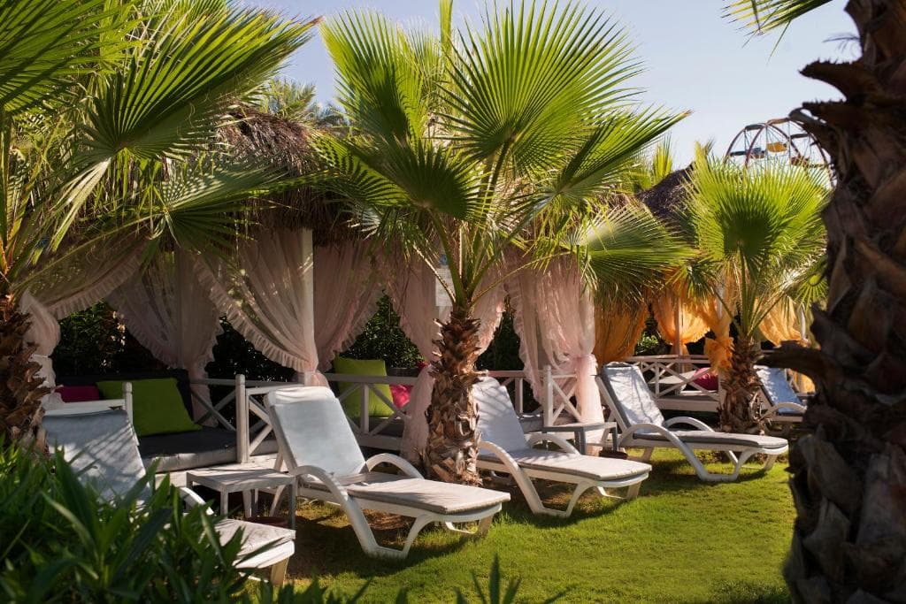 Charter Antalya - Hotel DELPHIN DIVA - 37