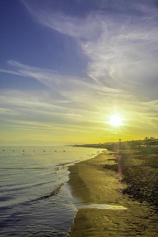 Hotel Alba Queen - 35