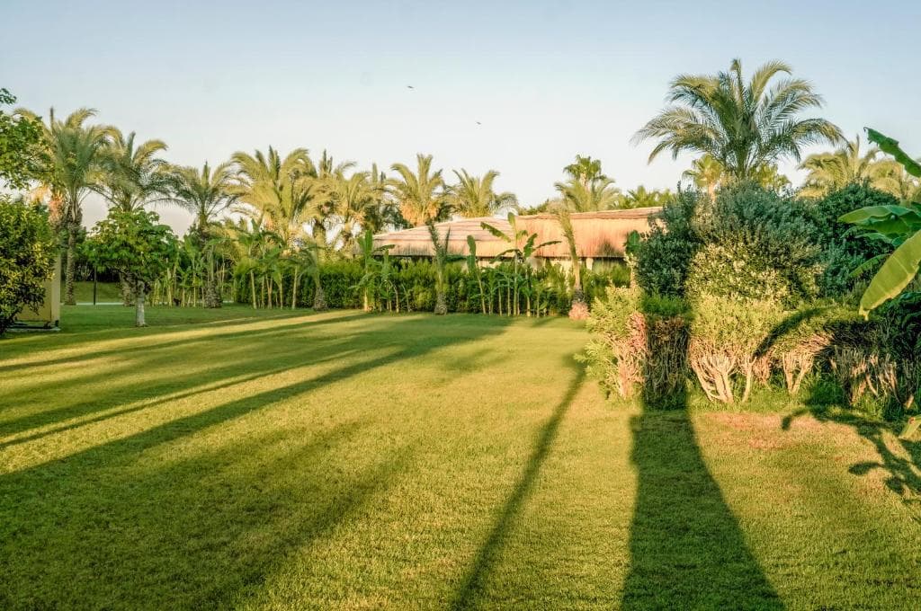 Hotel Royal Wings - 12