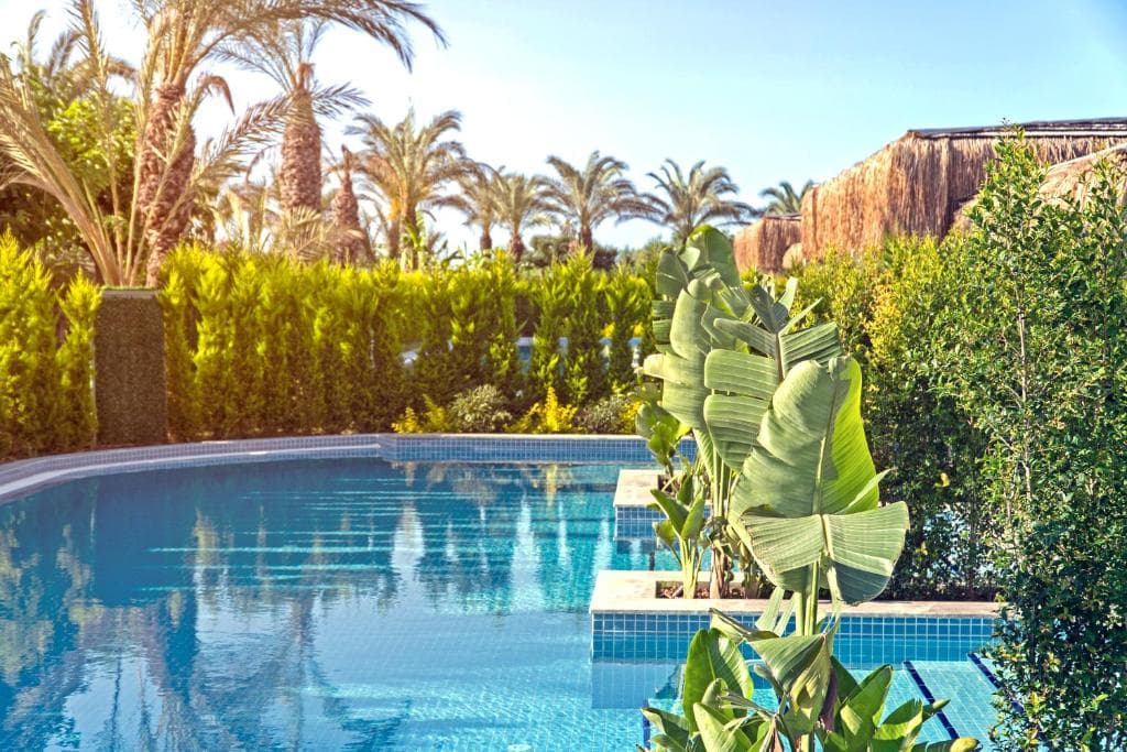 Hotel Royal Wings - 35