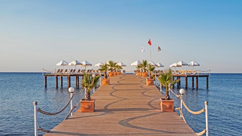 Hotel Royal Wings - 45