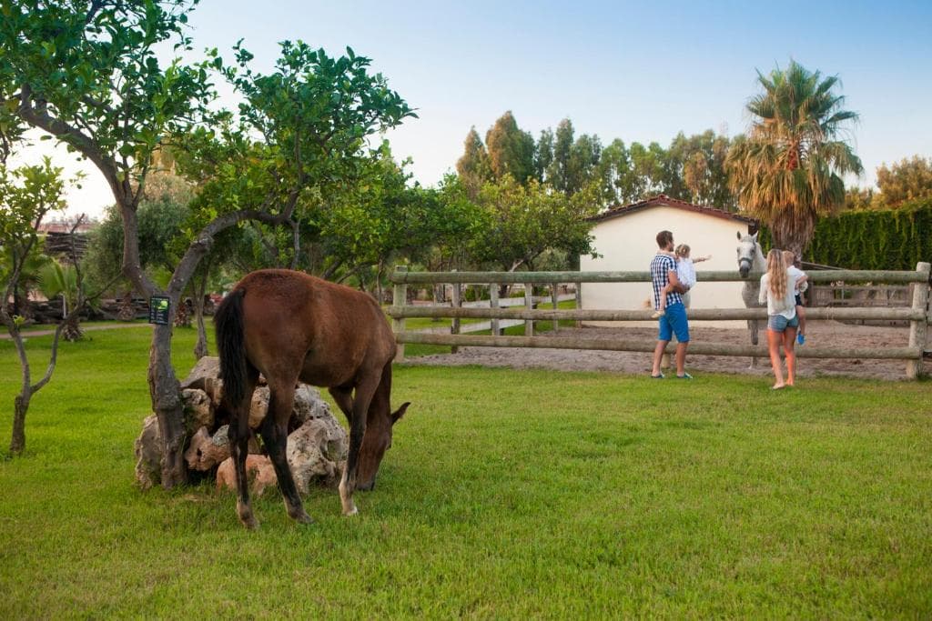 CLUB TURAN PRINCE WORLD - 10