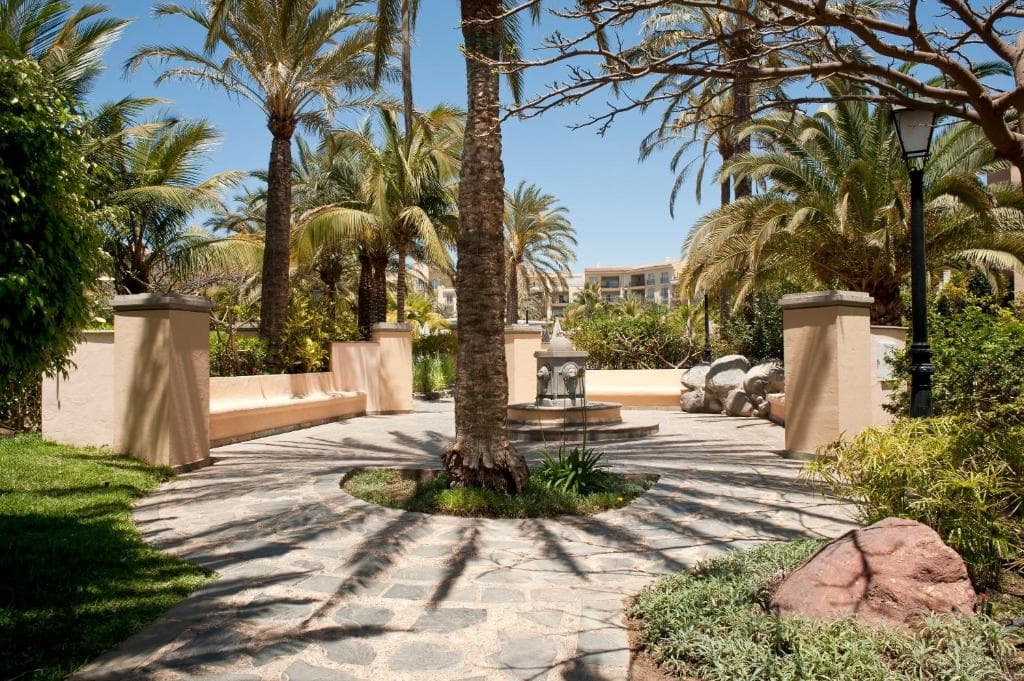 Palm Oasis Maspalomas - 44