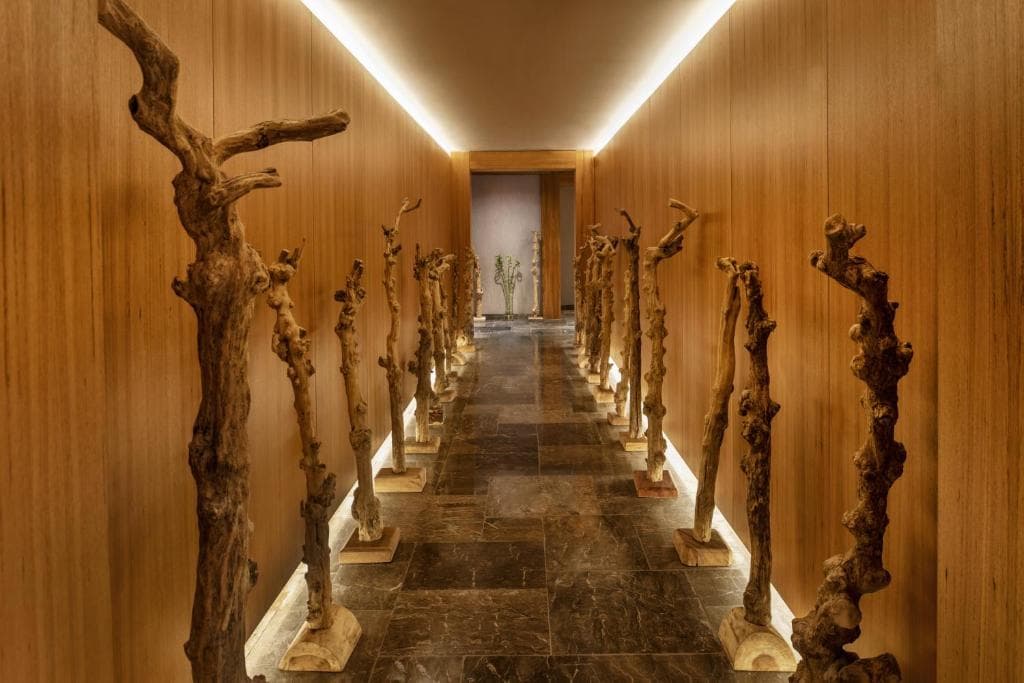 Regnum Carya Golf & Spa Resort - 39