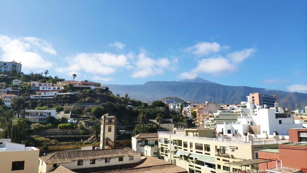 Hotel Checkin Nopal - 24