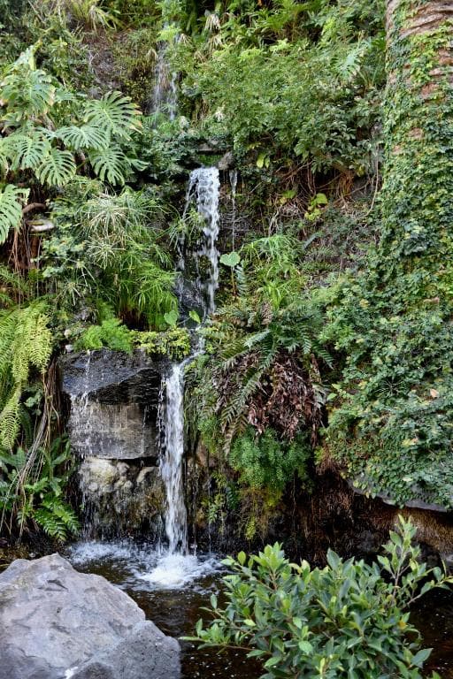 Hotel Fergus Puerto de la Cruz - 17