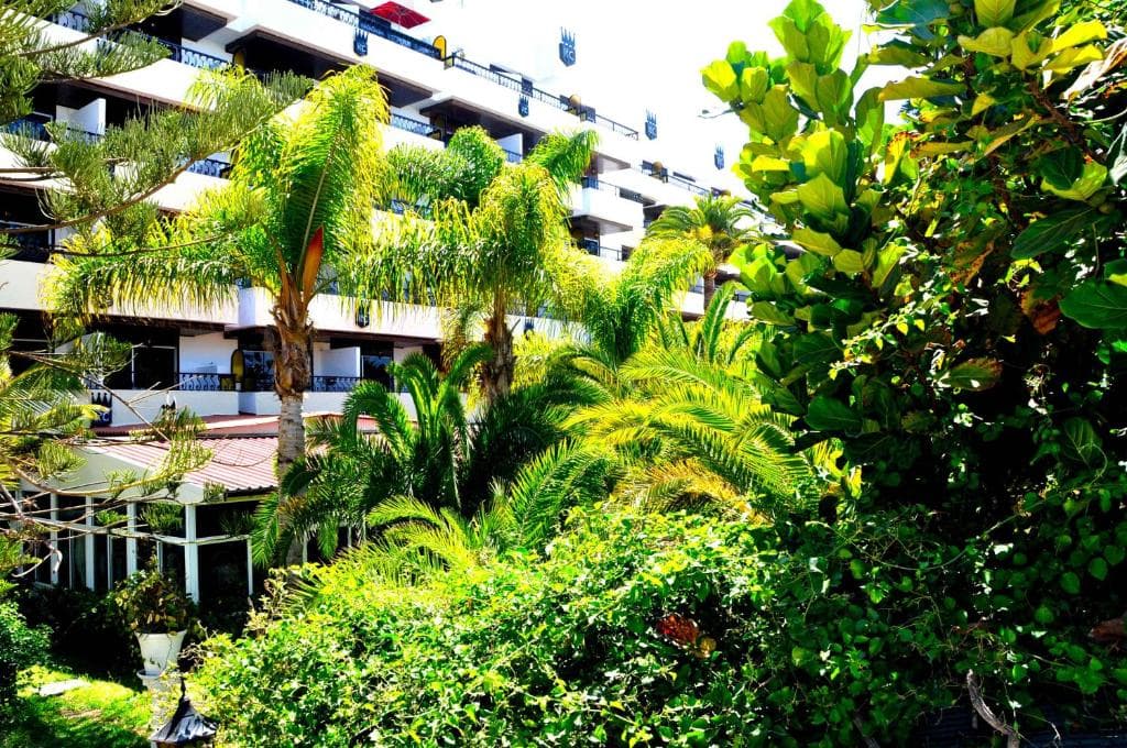 Hotel BLUESEA Rey Carlos - 30