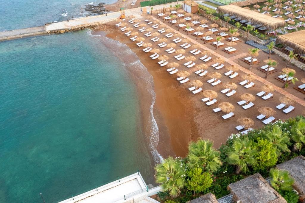 Rubi Platinum Sign - 4