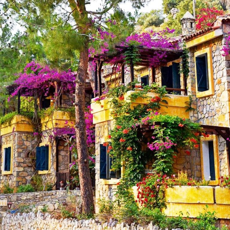 Symbola Oludeniz Beach Hotel - 2