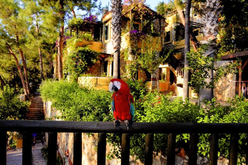 Symbola Oludeniz Beach Hotel - 16