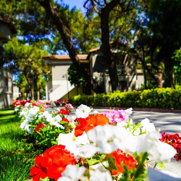 Kimeros Park Holiday Village - 38