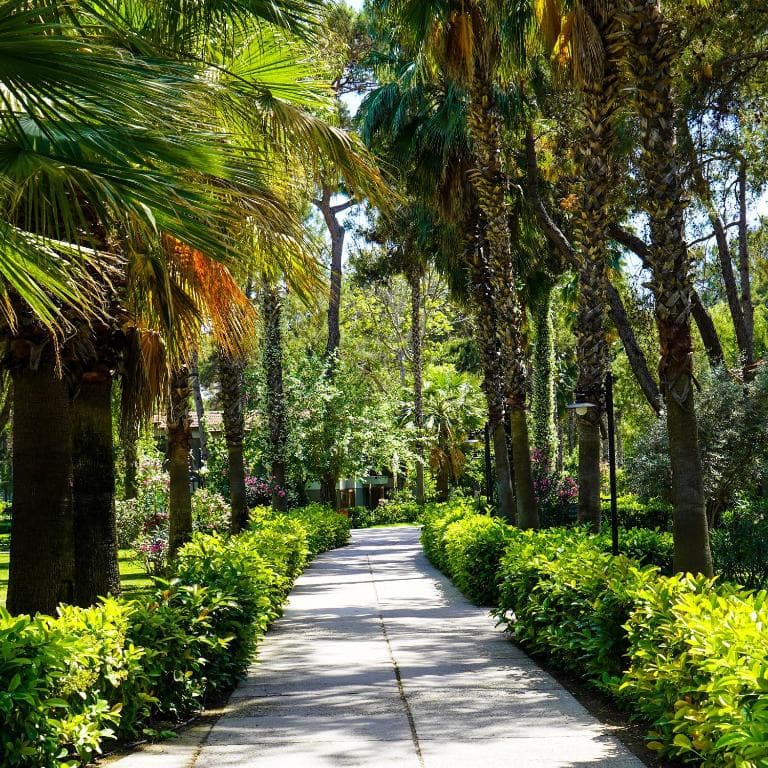 Kimeros Park Holiday Village - 41